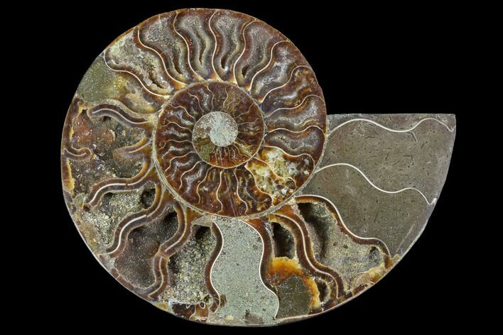 Agatized Ammonite Fossil (Half) - Madagascar #88253